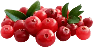 Cranberries