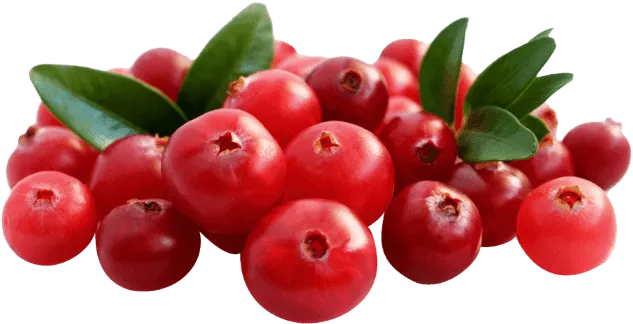 Cranberries